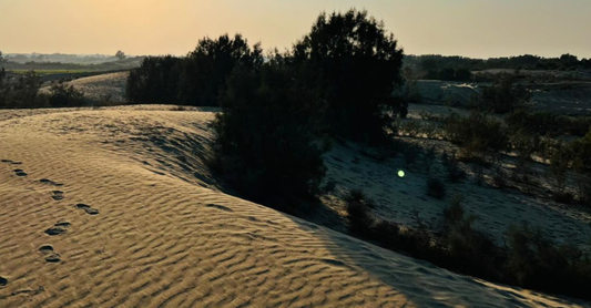 Oct 2025 Volume I, Issue II